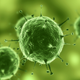 Illustration for article titled Breakthrough: A new drug that could cure everything from colds to HIV